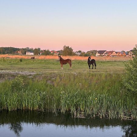 Laba Na Milej Lejlighed Łeba Eksteriør billede